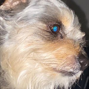 Meet your Posher, Karol